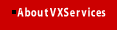 About VX Services